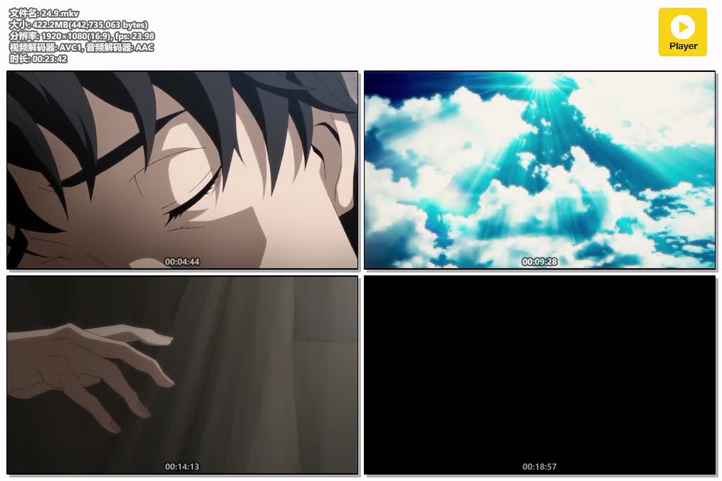 24.9.mkv.jpg
