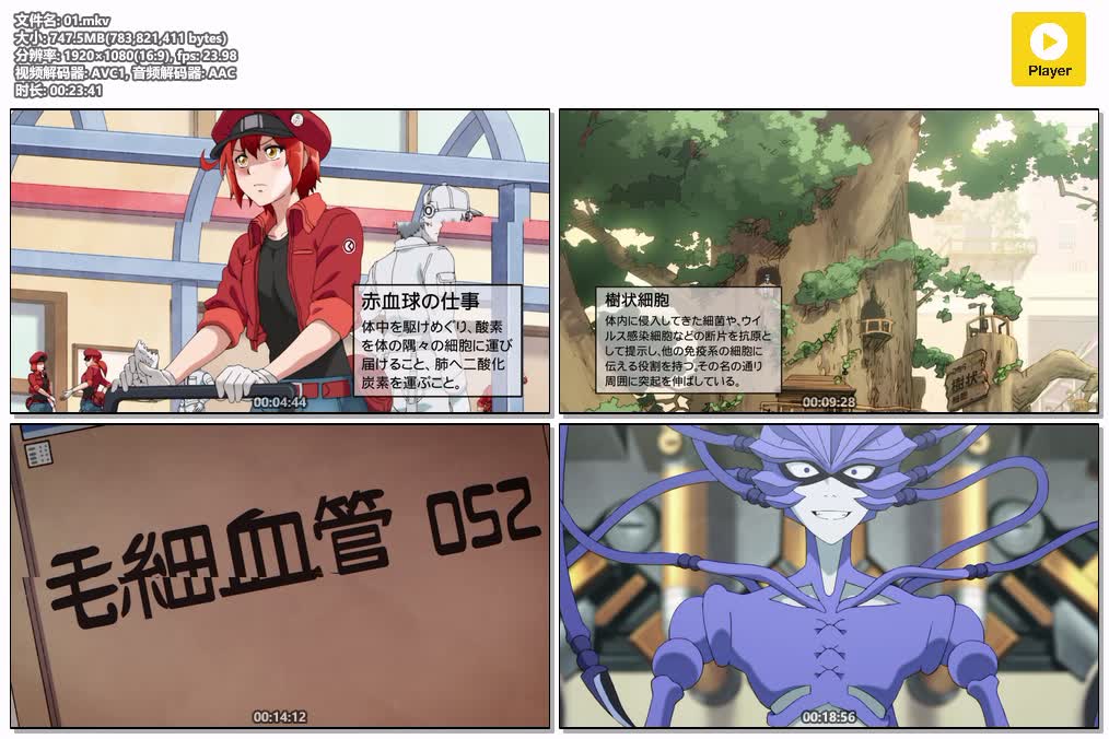 01.mkv.jpg
