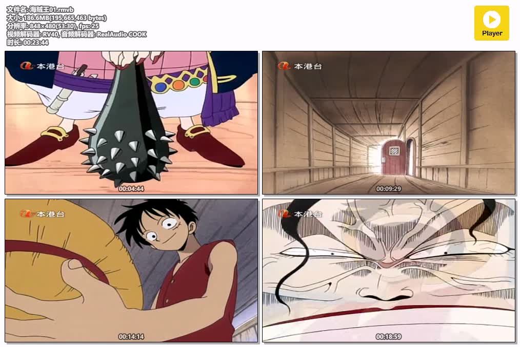 海賊王01.rmvb.jpg