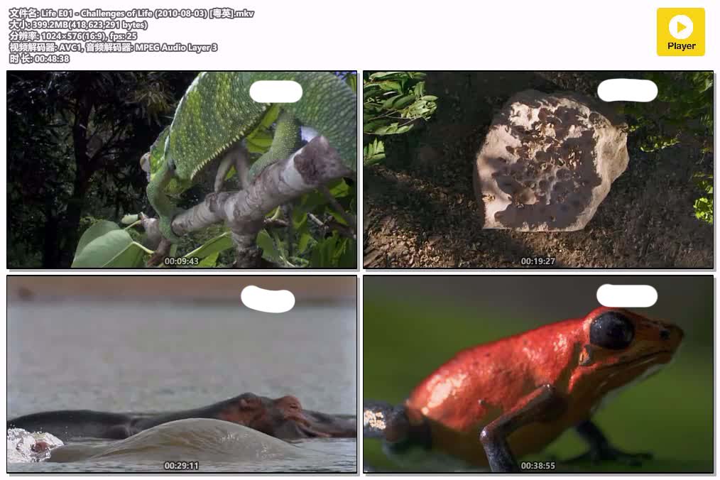 Life E01 - Challenges of Life (2010-08-03) [粵英].mkv.jpg