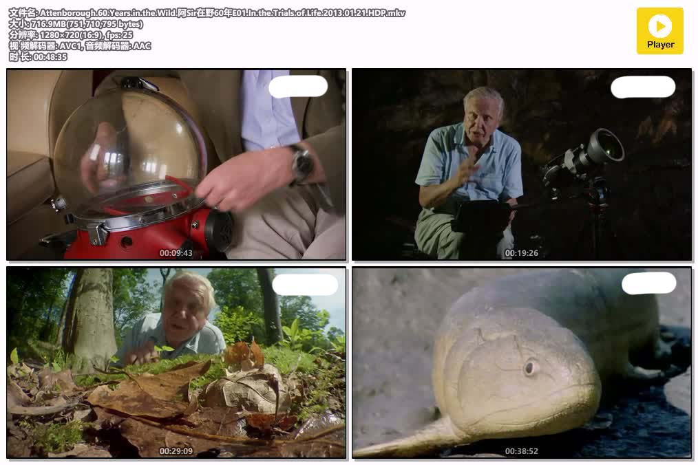 Attenborough.60.Years.in.the.Wild.阿Sir在野60年E01.In.the.Trials.of.Life.2013.01.jpg