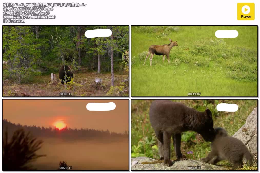 Nordic_Wild北歐在野_E01_2012_11_20[英粵].mkv.jpg
