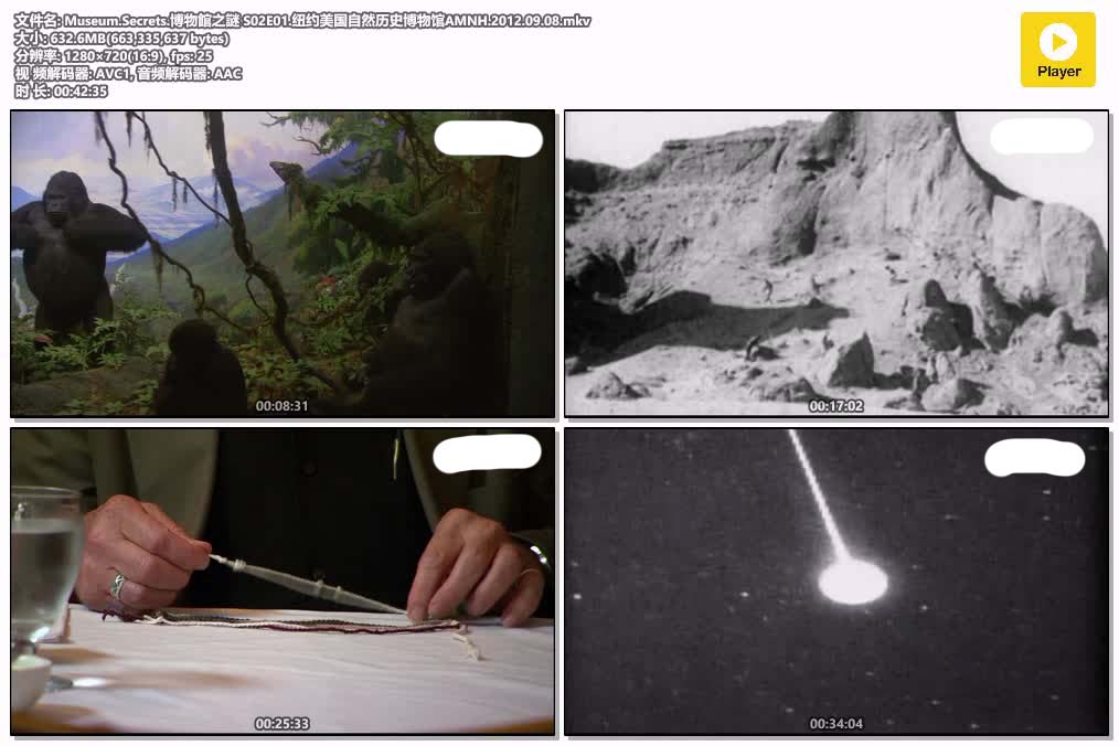 Museum.Secrets.博物館之謎 S02E01.纽约美国自然历史博物馆AMNH.2012.09.08.mkv.jpg
