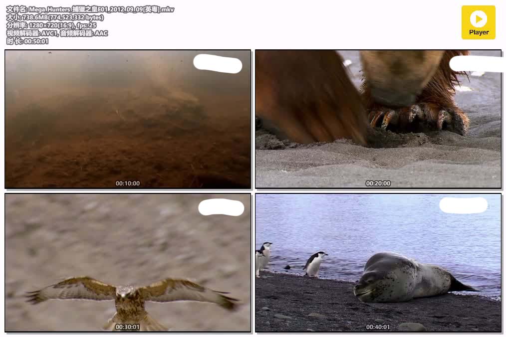 Mega_Hunters_捕獵之皇E01_2012_09_09[英粵].mkv.jpg