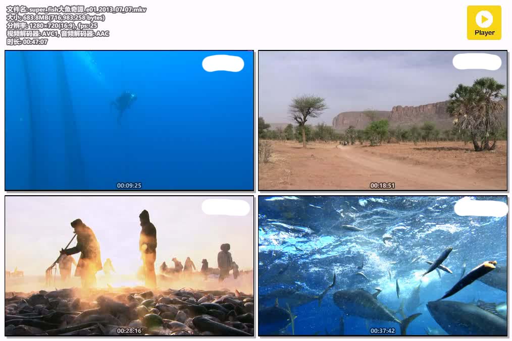 super_fish大魚奇譚_e01_2013_07_07.mkv.jpg