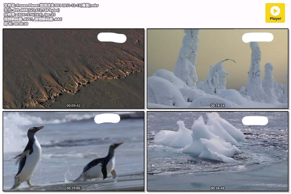 Frozen Planet 地球冰失 E01 2011-12-13[粤英].mkv.jpg