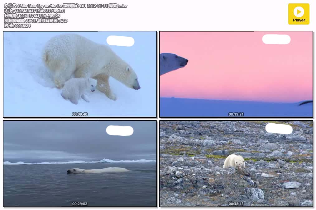 Polar Bear Spy on the Ice 諜影熊心 E01 2012-01-31[粤英].mkv.jpg
