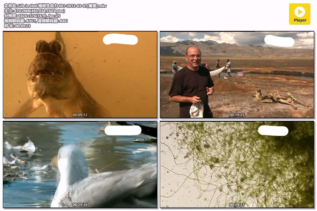 Life in Hell 極地生命力 E01-2012-03-07[粤英].mkv.jpg