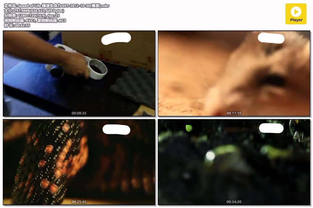 Speed of Life 極速生命力 E01-2012-10-30[粤英].mkv.jpg
