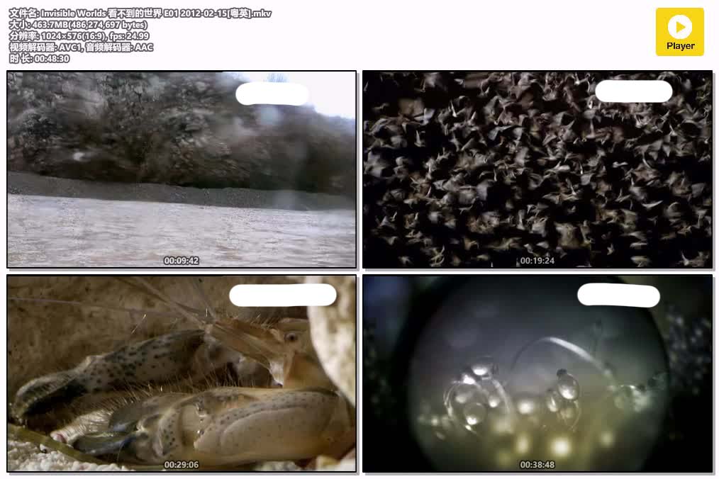 Invisible Worlds 看不到的世界 E01 2012-02-15[粤英].mkv.jpg