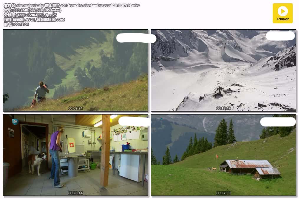 the.majestic.alps群山絕色.e01.from.the.oberland.to.vaud.2013.07.14.mkv.jpg