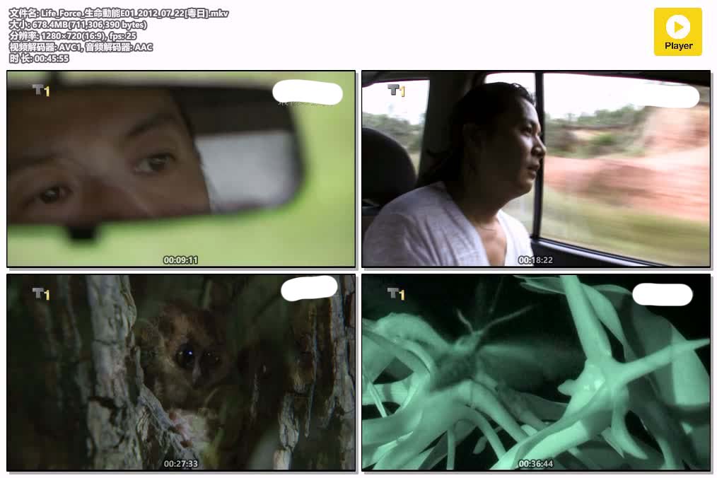 Life_Force_生命動能E01_2012_07_22[粵日].mkv.jpg