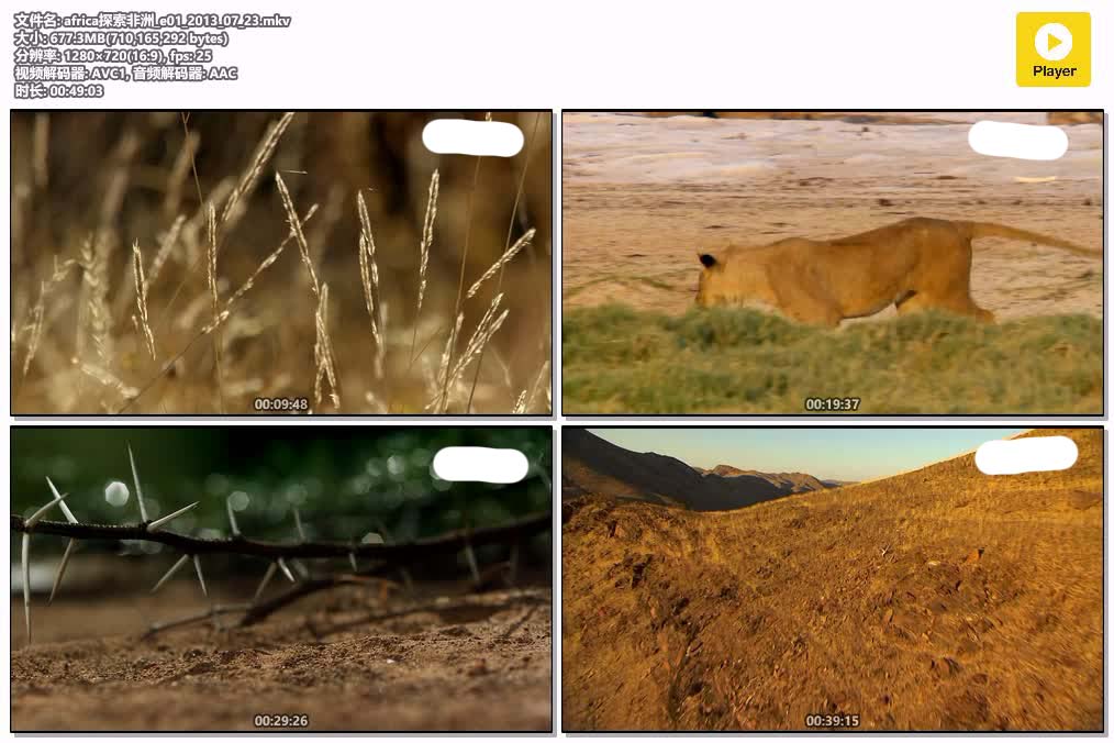 africa探索非洲_e01_2013_07_23.mkv.jpg