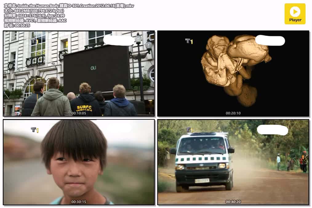 Inside.the.Human.Body.體真 D-E01.Creation.2012.06.18[英粤].mkv.jpg