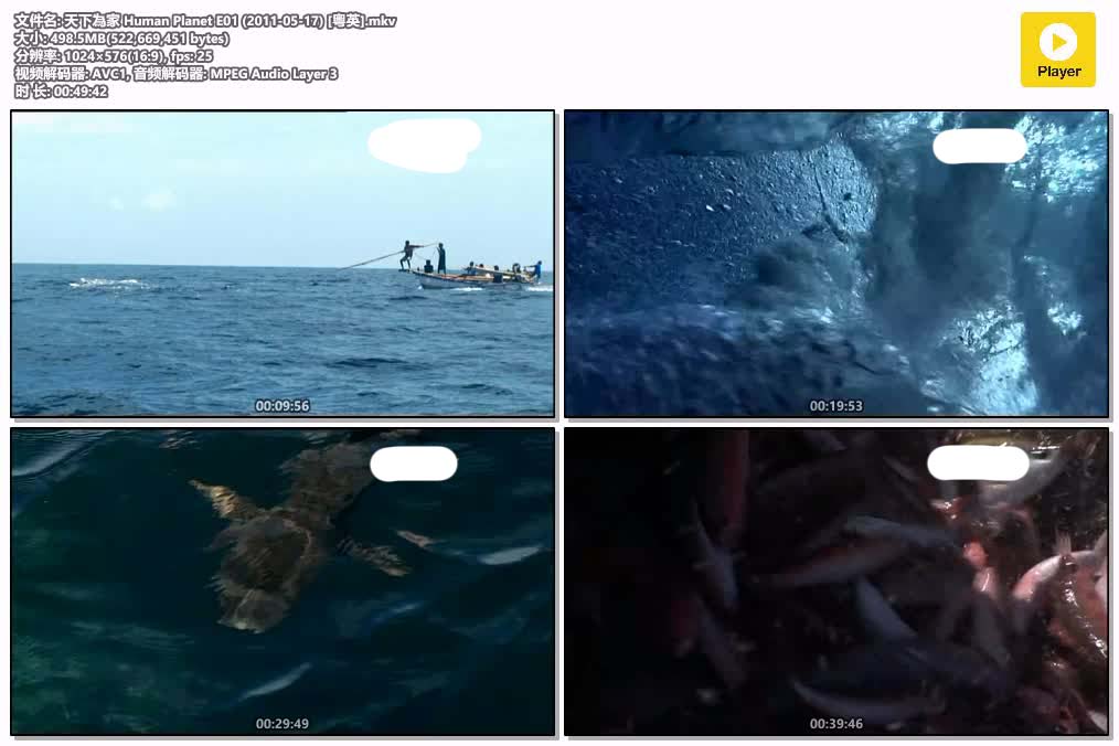 天下為家 Human Planet E01 (2011-05-17) [粵英].mkv.jpg