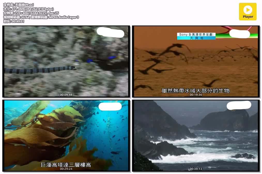 天與地09.avi.jpg