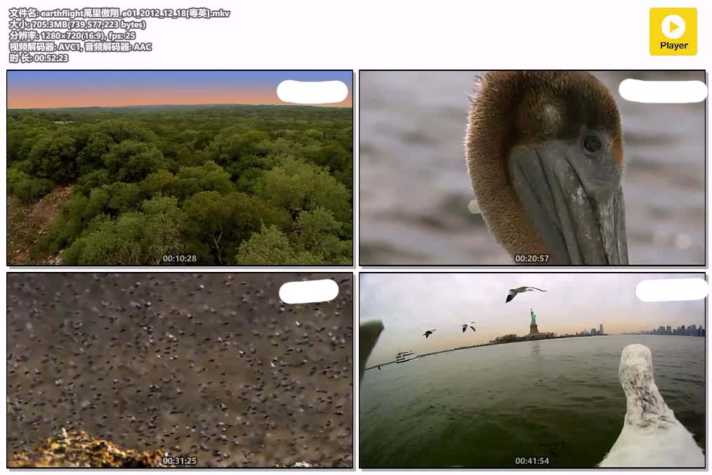 earthflight萬里傲翔_e01_2012_12_18[粤英].mkv.jpg