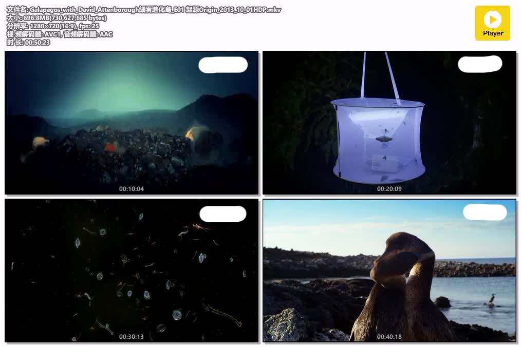 Galapagos_with_David_Attenborough細看進化島_E01 起源Origin_2013_10_01HDP.mkv.jpg
