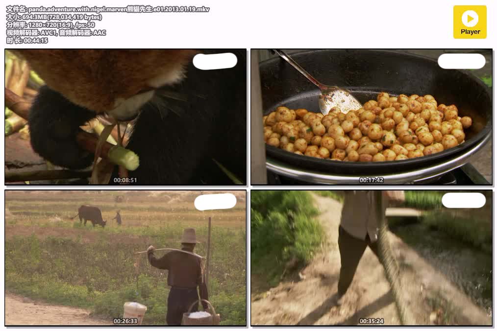 panda.adventure.with.nigel.marven熊貓先生.e01.2013.01.19.mkv.jpg