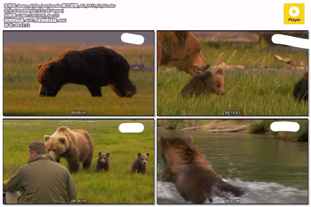 bears_of_the_last_frontier熊之地帶_e01_2013_07_02.mkv.jpg