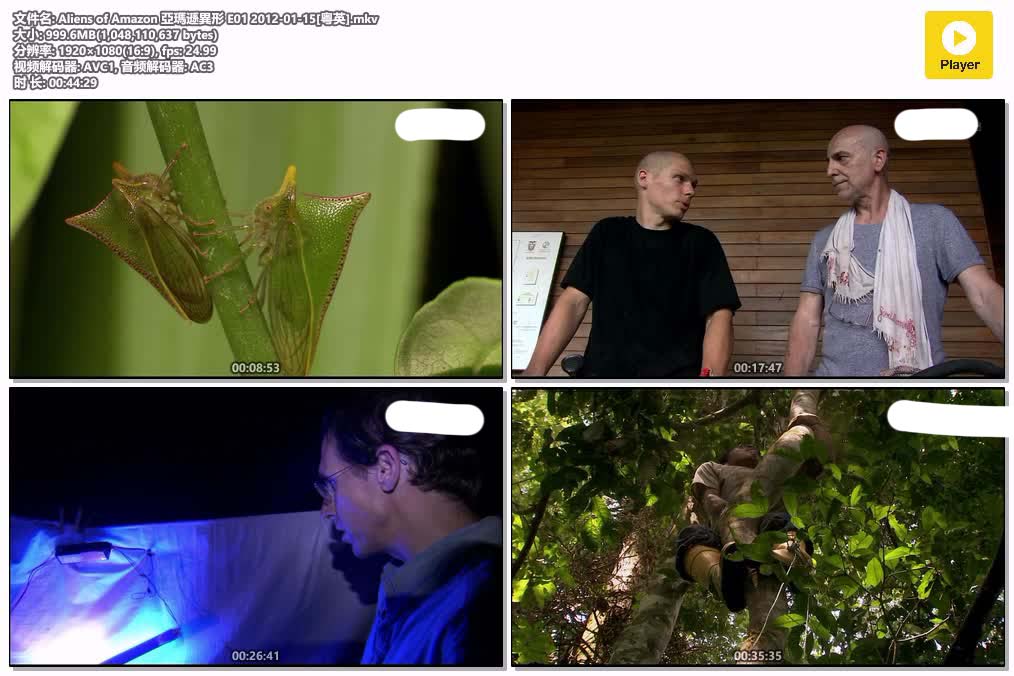 Aliens of Amazon 亞瑪遜異形 E01 2012-01-15[粤英].mkv.jpg