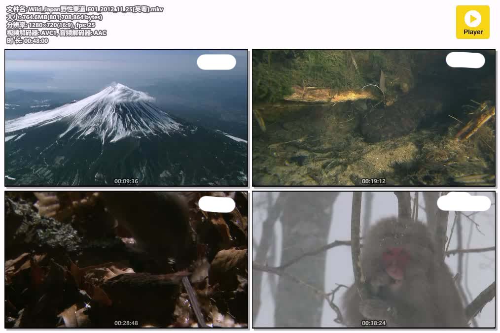 Wild_Japan野性東瀛_E01_2012_11_25[英粵].mkv.jpg