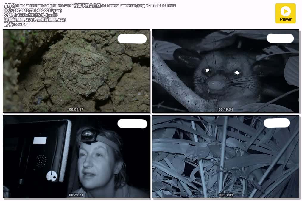 the.dark.nature.s.nighttime.world夜幕下的大自然.e01.central.american.jungle.2013.jpg