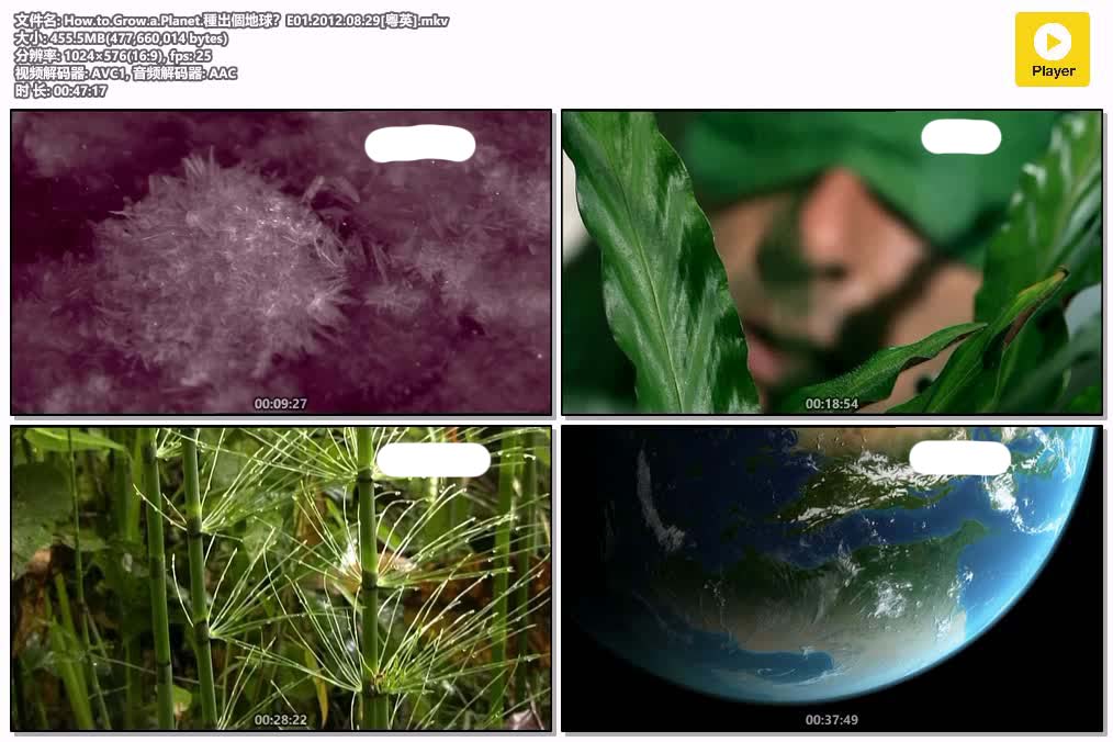 How.to.Grow.a.Planet.種出個地球？E01.2012.08.29[粤英].mkv.jpg