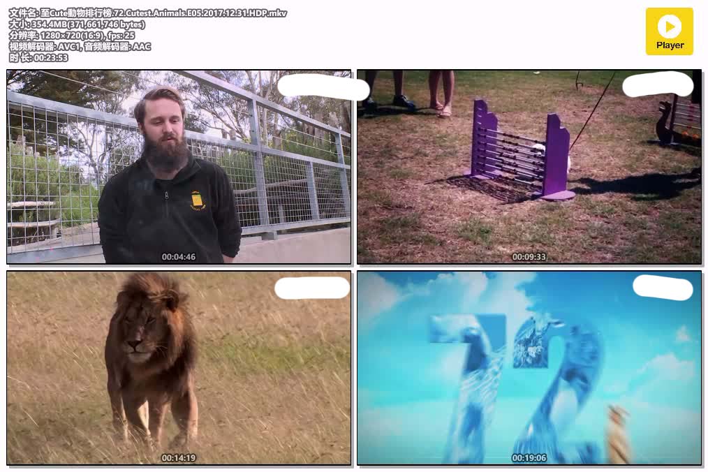 至Cute動物排行榜.72.Cutest.Animals.E05.2017.12.31.HDP.mkv.jpg