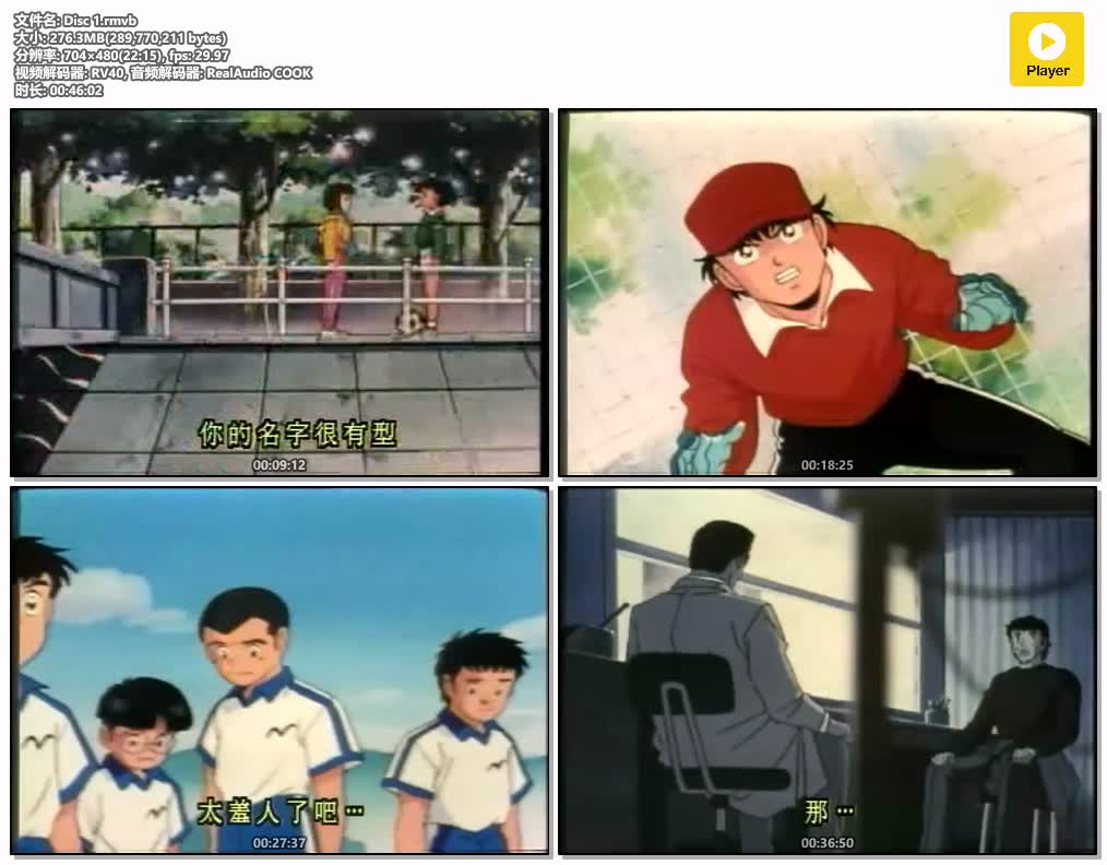 Disc 1.rmvb.jpg