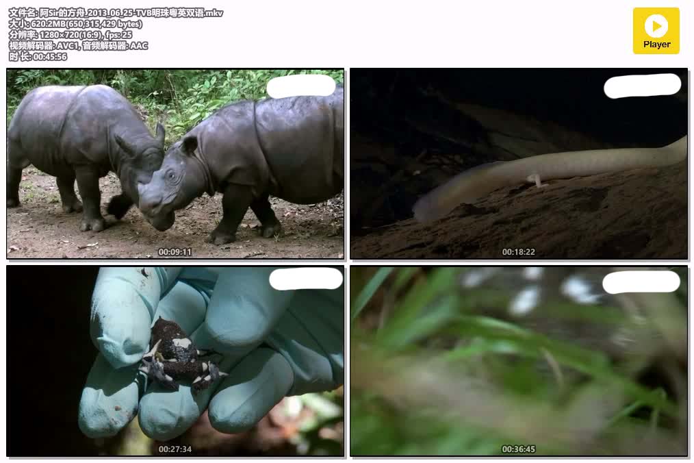阿Sir的方舟_2013_06_25-TVB明珠粤英双语.mkv.jpg