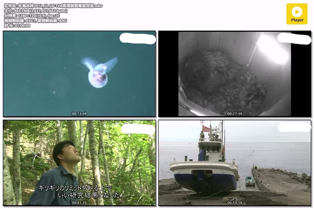 北海冰林2012_12_26-TVB高清翡翠粤英双语.mkv.jpg