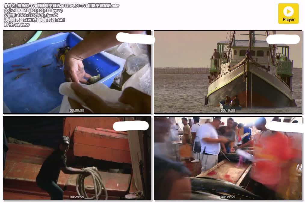 捕魚戰-TVB明珠粤英双语2013_04_01-TVB明珠英粤双语.mkv.jpg