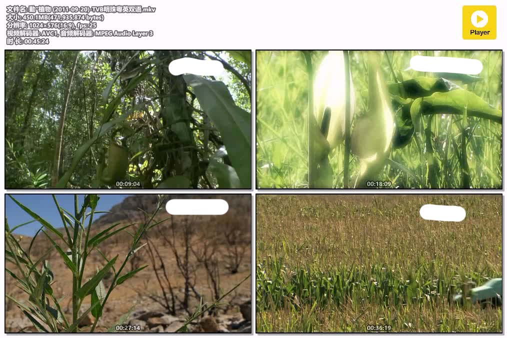 動”植物 (2011-09-20)-TVB明珠粤英双语.mkv.jpg