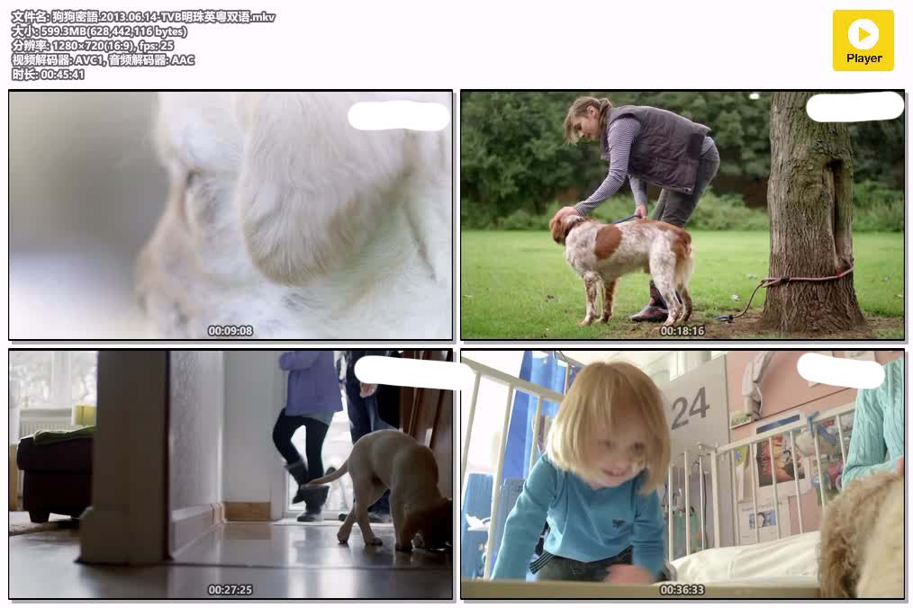 狗狗密語.2013.06.14-TVB明珠英粤双语.mkv.jpg