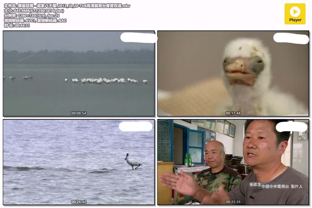 黑面琵鷺 - 返家八千里_2013_10_20-TVB高清翡翠台粵普双语.mkv.jpg
