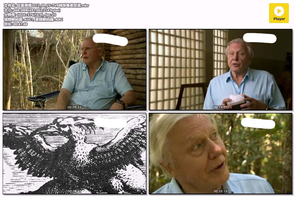 巨蛋尋根2012_09_25-TVB明珠粤英双语.mkv.jpg