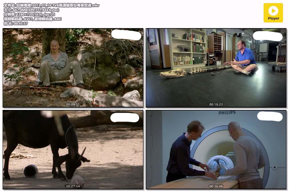 巨蜥毒噬_2013_07_14-TVB高清翡翠台粤英双语.mkv.jpg