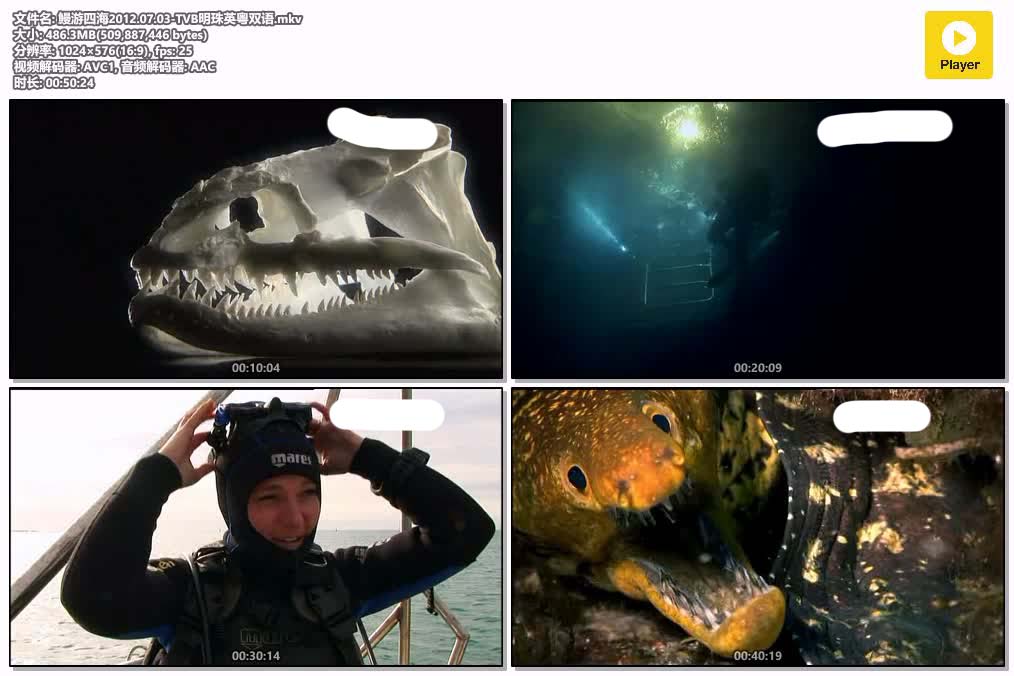 鰻游四海2012.07.03-TVB明珠英粤双语.mkv.jpg
