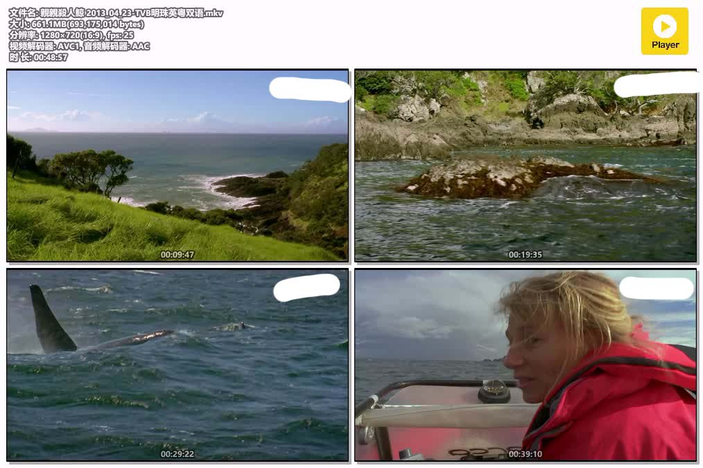 親親殺人鯨 2013_04_23-TVB明珠英粤双语.mkv.jpg