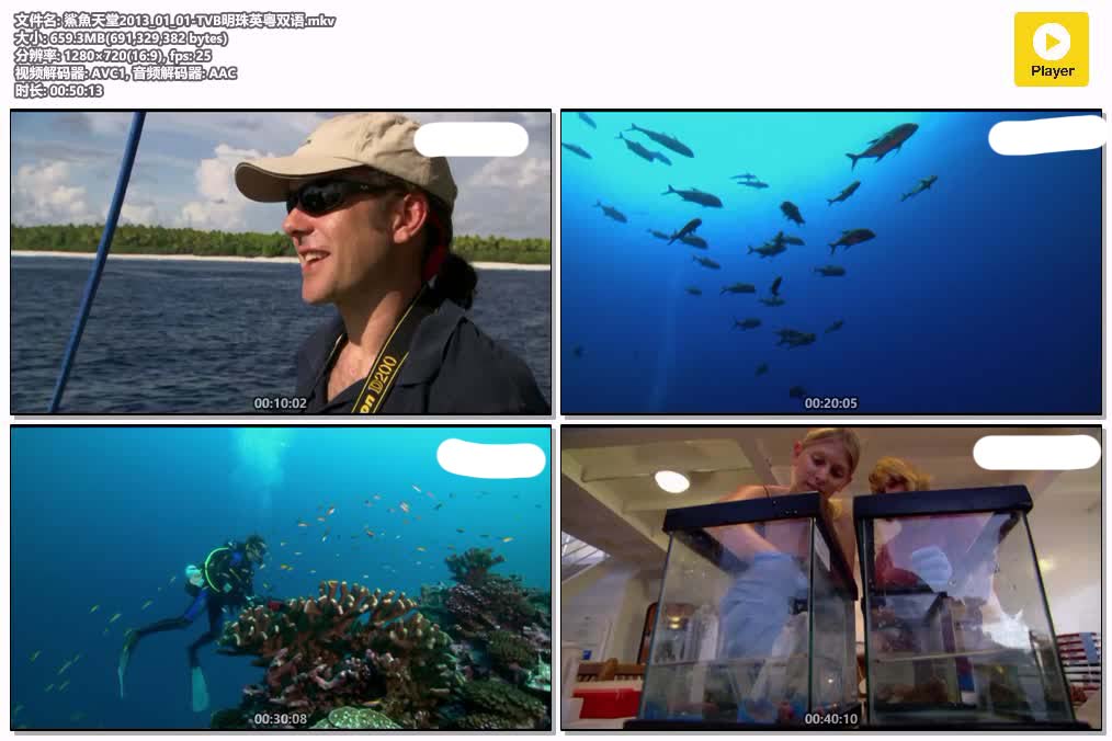 鯊魚天堂2013_01_01-TVB明珠英粤双语.mkv.jpg
