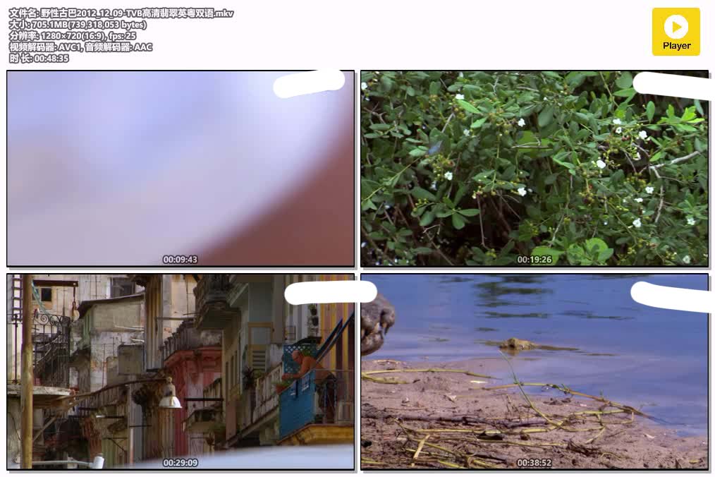 野性古巴2012_12_09-TVB高清翡翠英粤双语.mkv.jpg