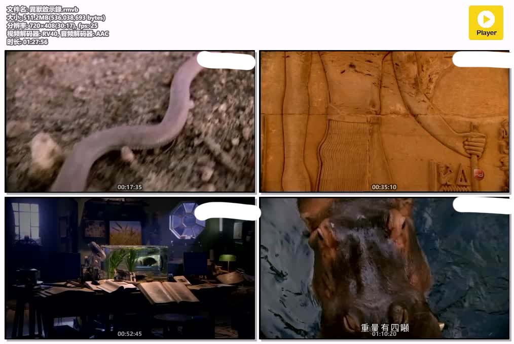 異獸啟示錄.rmvb.jpg