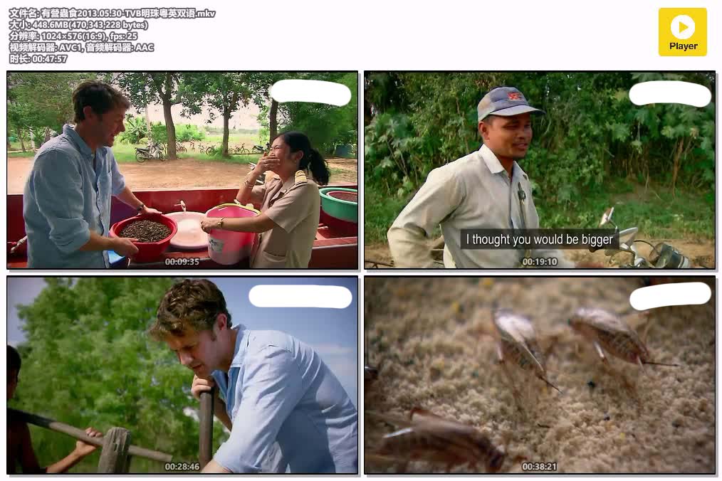有營蟲食2013.05.30-TVB明珠粤英双语.mkv.jpg