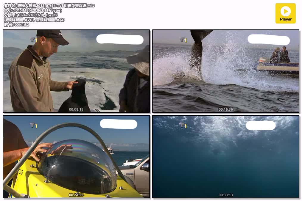 終極大白鯊2012_07_24-TVB明珠英粤双语.mkv.jpg