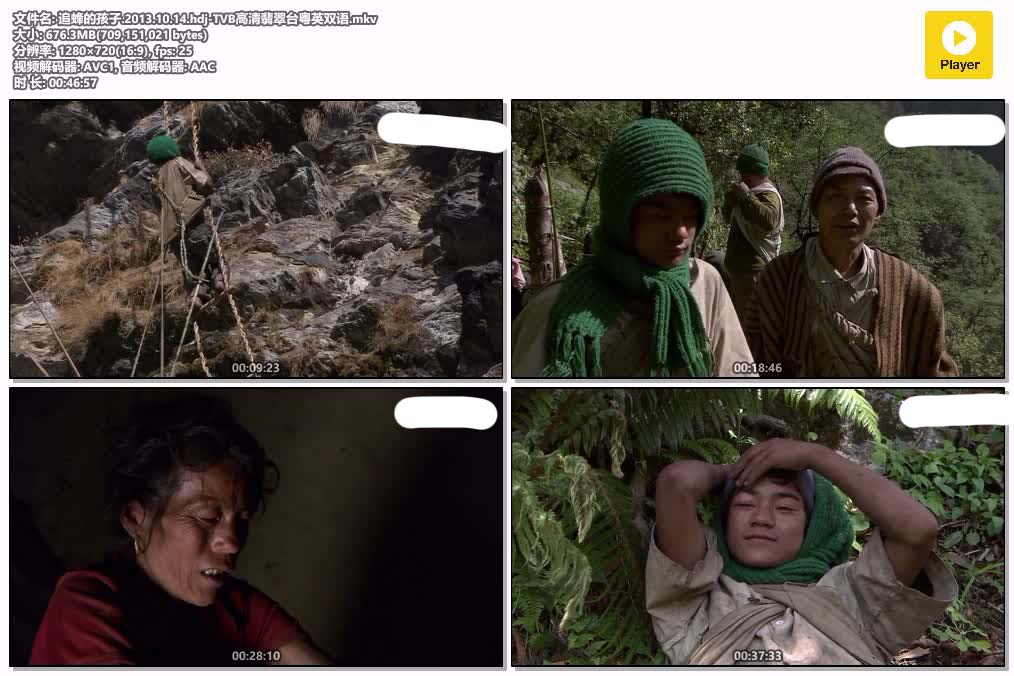 追蜂的孩子.2013.10.14.hdj-TVB高清翡翠台粤英双语.mkv.jpg