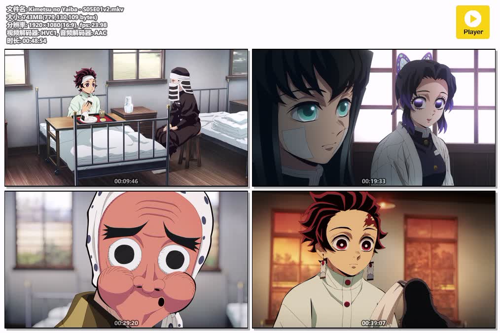 Kimetsu no Yaiba - S05E01v2.mkv.jpg