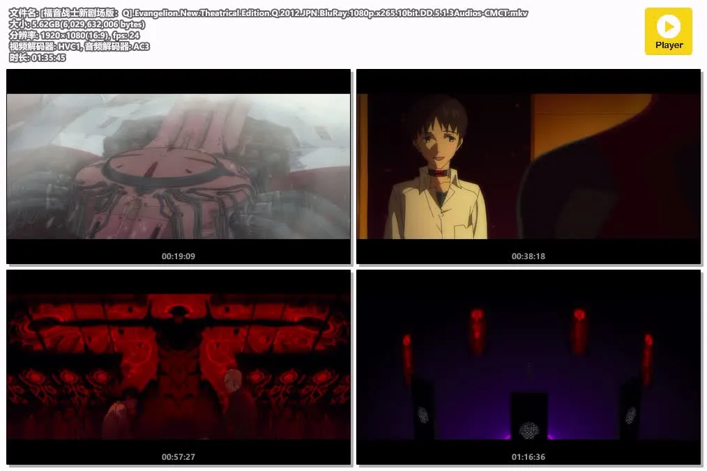 16084006884.webp