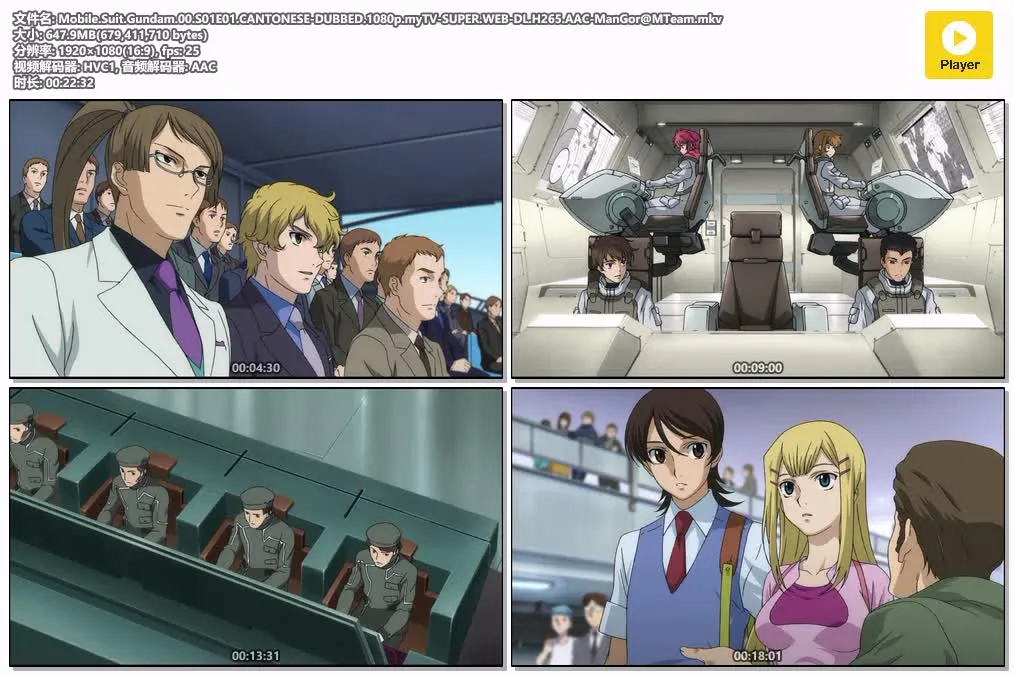 17075635252.webp