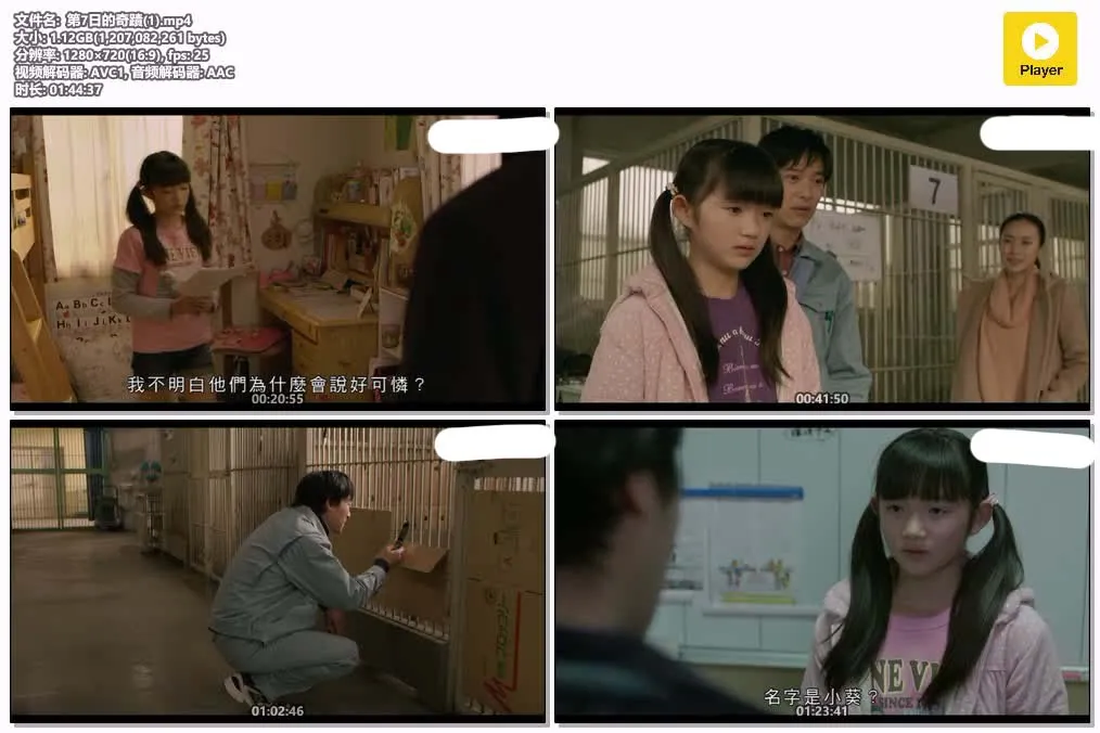 29123909220.webp